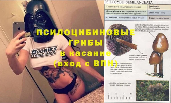 прущая мука Арсеньев