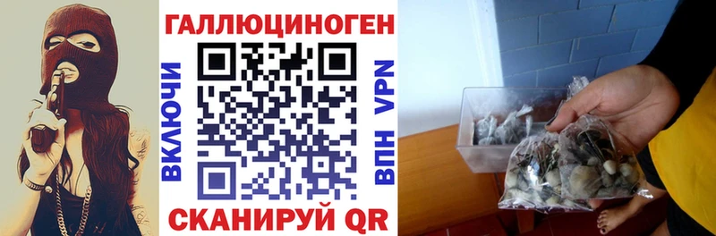 Галлюциногенные грибы ЛСД  наркошоп  Бакал 